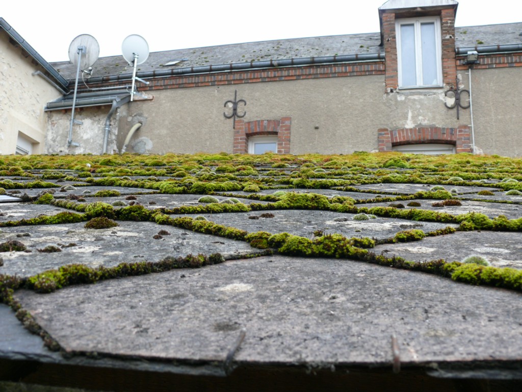 Diagnostic immobilier LA Ferté-Milon